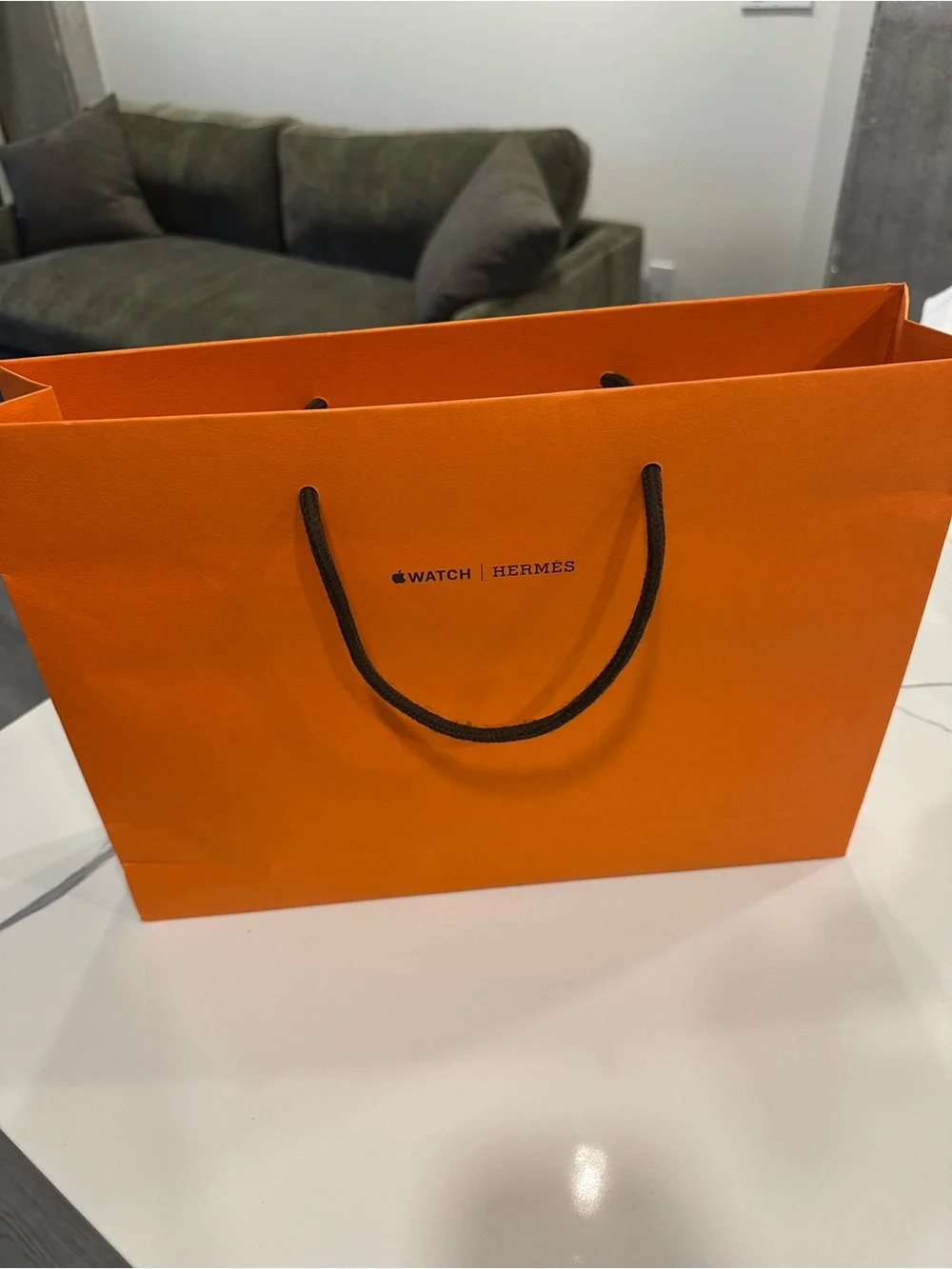 Apple Watch Hermès Series 10